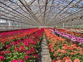 Tarımsal Çalışmalar